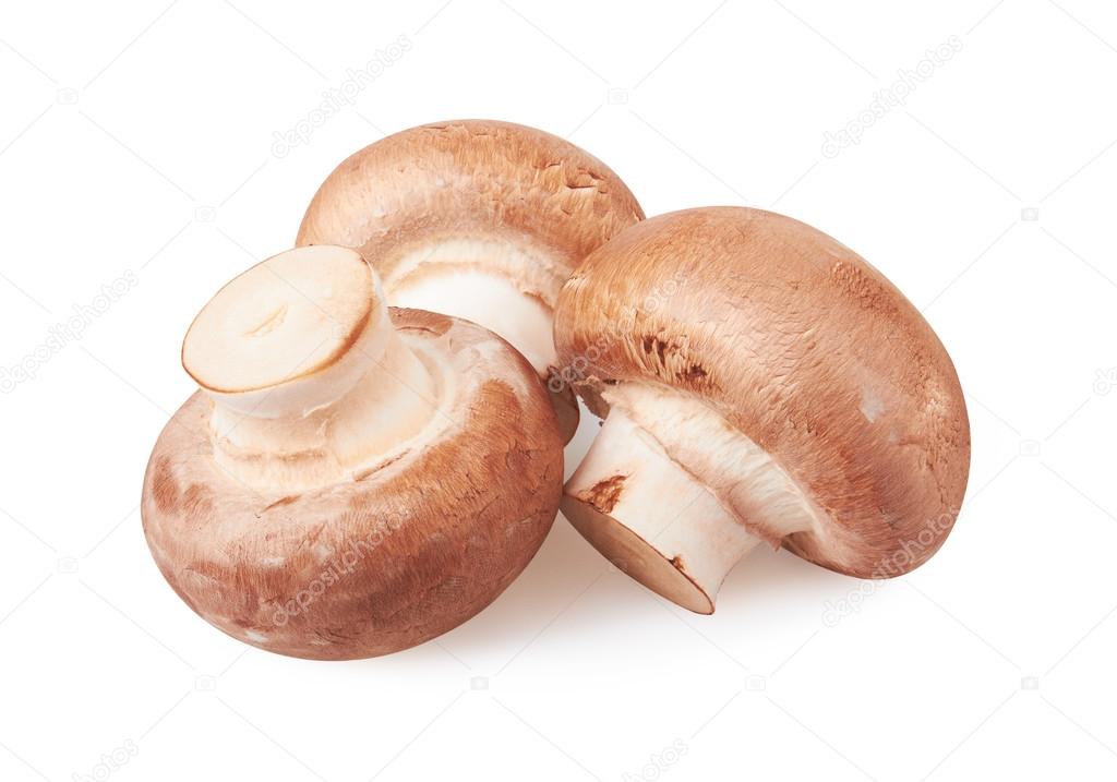 Champignon Mushroom