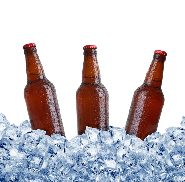 Bottles in ice — Stock Photo, Image