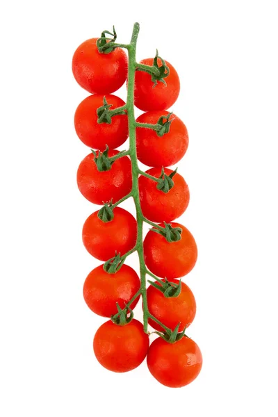 Os tomates de cereja em um ramo em um contexto caído. Isolados. — Fotografia de Stock