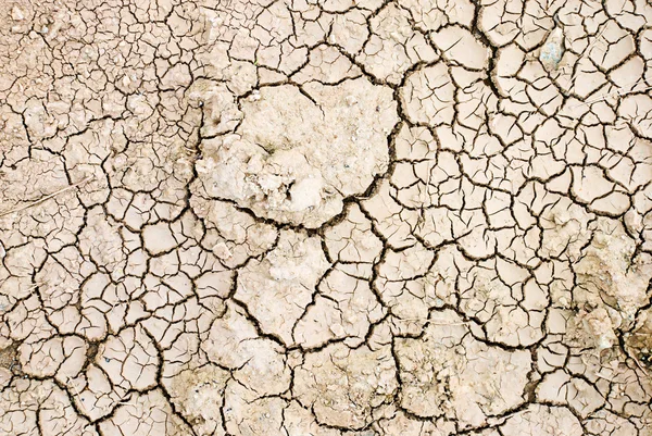 ひび割れ乾燥の地面 — ストック写真
