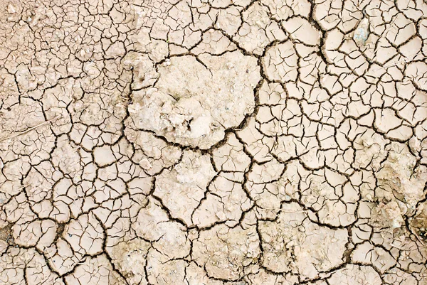 Dry cracked ground — Stock Photo, Image