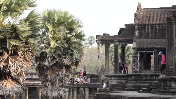 カンボジア、シェムリ アップ州、アンコール ワット、2016 年 3 月 9 日: 正体不明のツーリストは寺院の複合体を見る。アンコール ワットはカンボジア シェムリ アップ州で世界で最大の宗教的な記念碑です。 — ストック動画