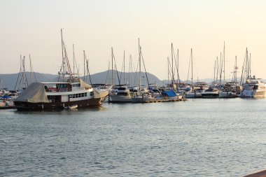 Pattaya, Tayland - 13 Mart: Yelkenli tekneler ve gökdelen Marina Yat kulüp Pattaya akşam saat üzerinde 13 Mart 2016 Pattaya, Tayland