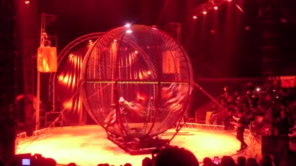 Novoszibirszk - május 02: Circus Shapito Demidov. Motorkerékpár kaszkadőr show-ból Kolumbia "Gyors és ádáz". Csodák fogás-lovaglás-ban egy zárt tálba. Május 02, 2016-ban Novosibirsk, Oroszország — Stock videók