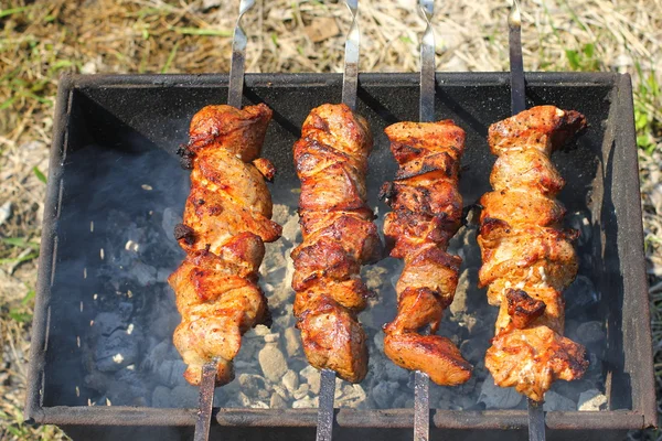 Grilla marynowane szaszłyk (skewered mięsa) na grill. Brzoza gorący węgiel. Świeże mięso soczyste. Zdrowej żywności. Bbq wakacje. — Zdjęcie stockowe