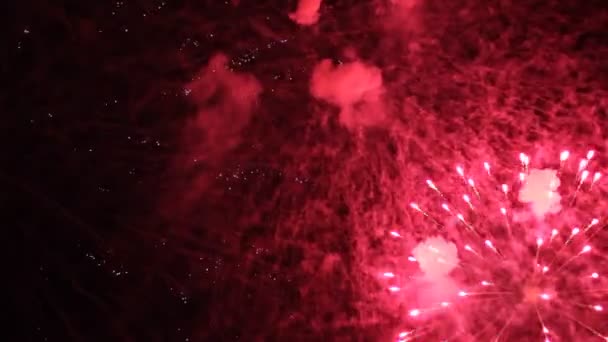 Fogos de artifício de celebração no céu noturno . — Vídeo de Stock