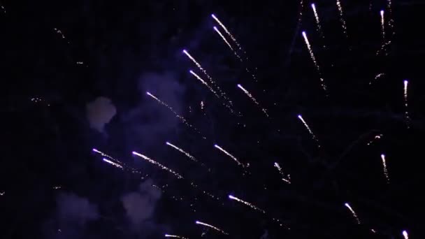 Γιορτή πυροτεχνήματα στο νυχτερινό ουρανό. — Αρχείο Βίντεο