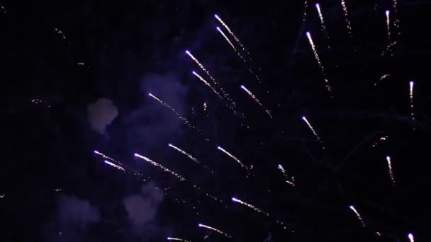 Celebration fireworks at night sky. — Stock Video