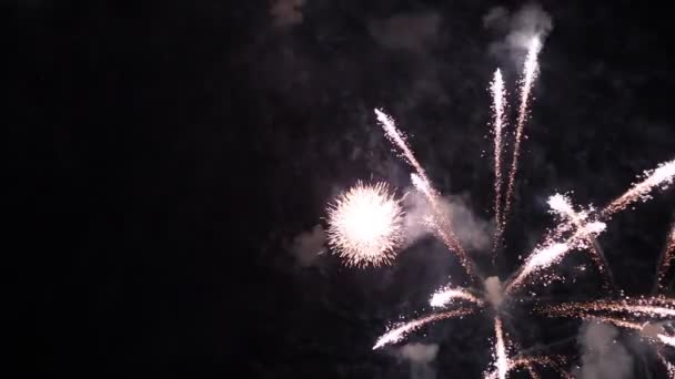 Fogos de artifício de celebração no céu noturno . — Vídeo de Stock