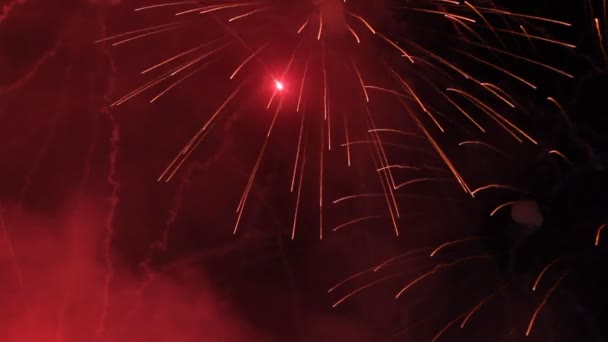 Feux d'artifice de célébration dans le ciel nocturne .