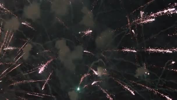 Feux d'artifice de célébration dans le ciel nocturne .