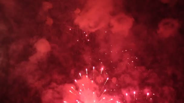 Fuegos artificiales de celebración en el cielo nocturno . — Vídeos de Stock