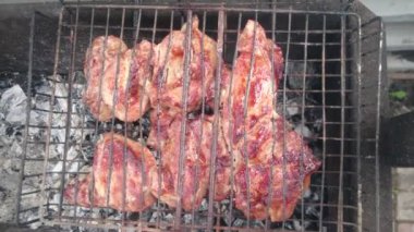 Marine Şaşlık (saptırılmış et) bir ızgara ızgara. Sıcak huş kömür. Taze sulu et. Sağlıklı gıda. Tatil Barbekü.