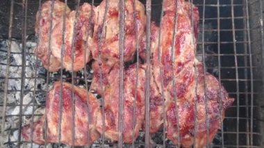 Marine Şaşlık (saptırılmış et) bir ızgara ızgara. Sıcak huş kömür. Taze sulu et. Sağlıklı gıda. Tatil Barbekü.