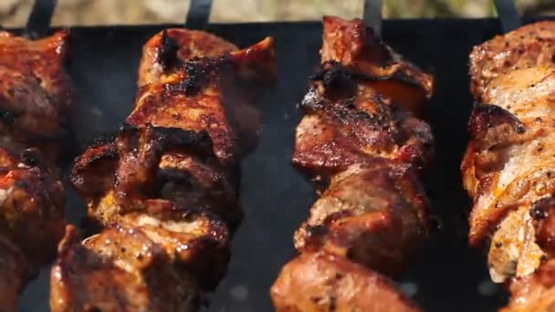 Grilling marinated shashlik (skewered meat) on a grill. Hot birch coal. Fresh juicy meat. Healthy food. Holidays BBQ. — Stock Video