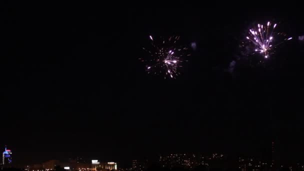 Fuegos artificiales en el cielo negro nocturno . — Vídeos de Stock