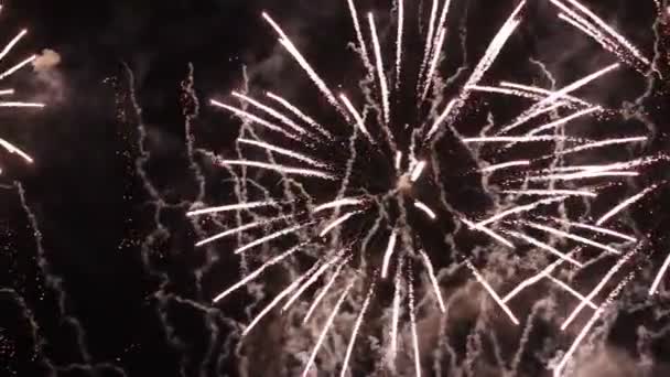 Fuochi d'artificio sul cielo notturno nero. — Video Stock