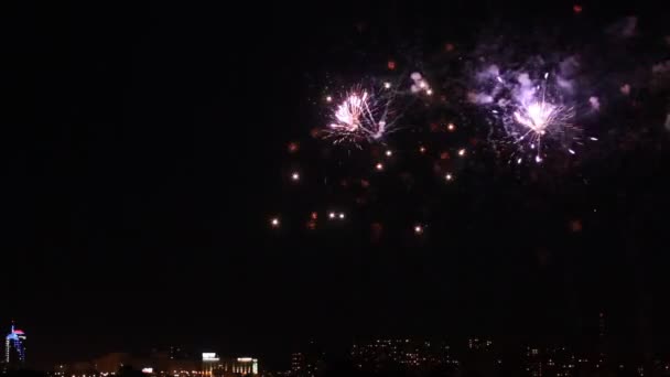 Feuerwerk am schwarzen Nachthimmel. — Stockvideo