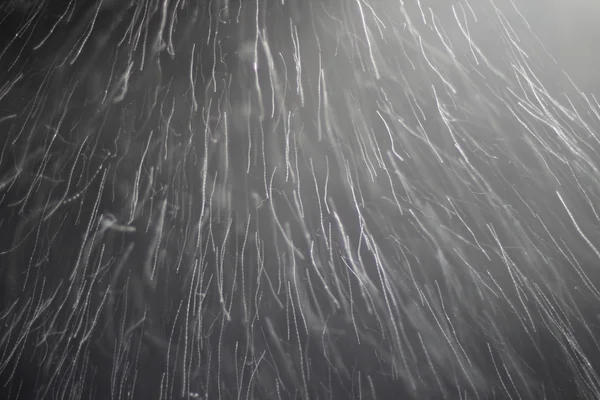 Schneesturm. Langzeitbelichtung, Bewegungsunschärfe. Schuss fliegender Schneeflocken in der Luft. — Stockfoto