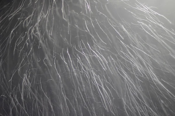 Schneesturm. Langzeitbelichtung, Bewegungsunschärfe. Schuss fliegender Schneeflocken in der Luft. — Stockfoto