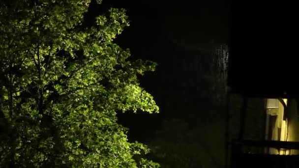 Lluvia de verano en la ciudad . — Vídeos de Stock