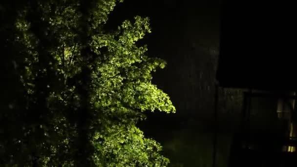 Letniej nocy deszcz w mieście. — Wideo stockowe