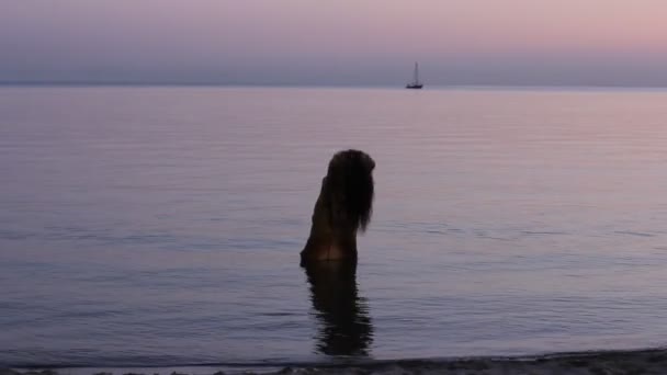 Gün batımı deniz dansta mutlu kadın silüeti. — Stok video