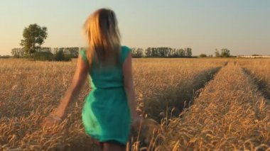 Güneşli buğday sahada koşan güzel kız. Özgürlük kavramı. Mutlu kadın açık havada bir buğday alanında gündoğumu veya günbatımı eğleniyor. 
