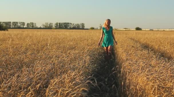 Vacker flicka körs på solbelysta vetefält. Frihet-konceptet. Lycklig kvinna ha kul utomhus i en veteåker på solnedgång eller soluppgång. — Stockvideo