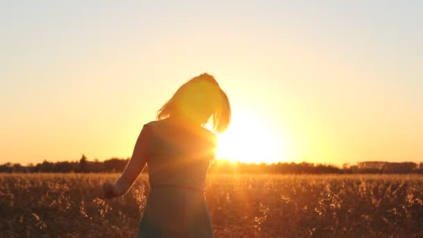 Chica atractiva disfrutar de la naturaleza corriendo, saltando, bailando en los campos en la puesta del sol. Mujer joven en vestido que se divierten al aire libre. Concepto vacaciones de verano . — Vídeo de stock