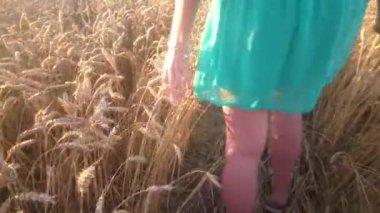 Güzel kız güneşli buğday sahada poz. Özgürlük kavramı. Mutlu kadın açık havada bir buğday alanında gündoğumu veya günbatımı eğleniyor.