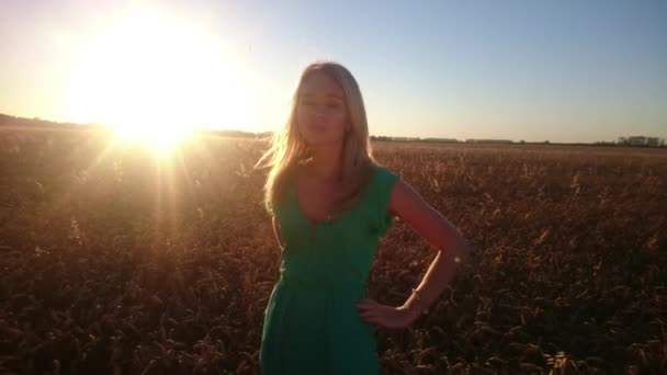 Vacker flicka poserar på solbelysta vetefält. Frihet-konceptet. Lycklig kvinna ha kul utomhus i en veteåker på solnedgång eller soluppgång. — Stockvideo