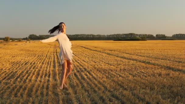 Mujer joven disfrutando del sol de otoño en el campo amarillo. Hora dorada con luz del atardecer . — Vídeo de stock