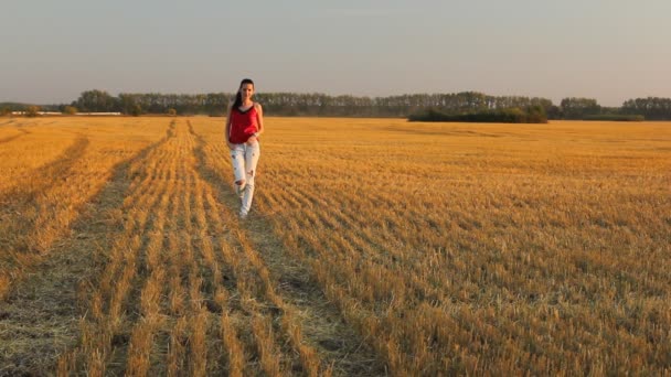 Jonge vrouw genieten van de herfstzon in een geel veld. Gouden uur met zonsondergang licht. — Stockvideo