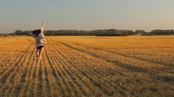 Jovem mulher desfrutando do sol de outono no campo amarelo. Hora de ouro com luz do pôr do sol . — Vídeo de Stock