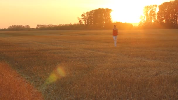 Fiatal nő élvezi az őszi nap a sárga mezőben. Arany óra naplemente fény. — Stock videók