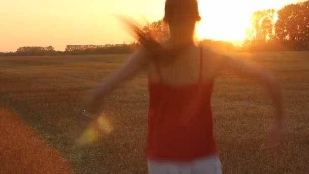 黄色のフィールドの秋の日を楽しんでいる若い女性。夕日の光で黄金の時間. — ストック動画