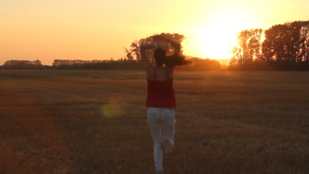 Jovem mulher desfrutando do sol de outono no campo amarelo. Hora de ouro com luz do pôr do sol . — Vídeo de Stock