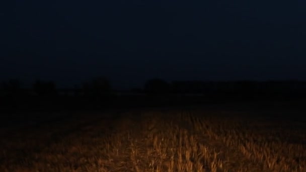 Деревенский автомобиль проезжает через ночное поле после сбора урожая — стоковое видео