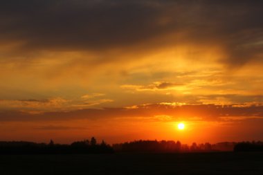 Dramatik gökyüzü, sisli alanı ile orman büyülü gün batımı.