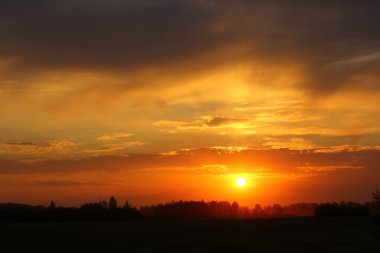 Dramatik gökyüzü, sisli alanı ile orman büyülü gün batımı.