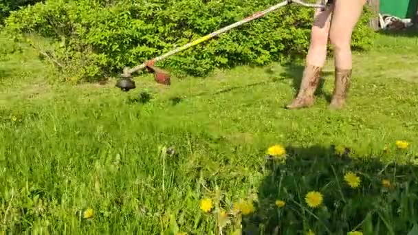 Altai Krai ロシア 5月2021 家の裏庭に芝刈り機とガソリントリマーを持つ人々 — ストック動画