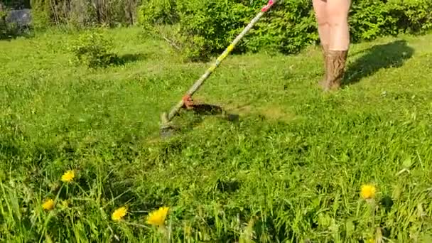 Altai Krai ロシア 5月2021 家の裏庭に芝刈り機とガソリントリマーを持つ人々 — ストック動画