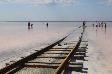 Altai Krai, Bursol Gölü. Pembe tuzlu göl suyu ve yansımaları inanılmaz görünüyor..
