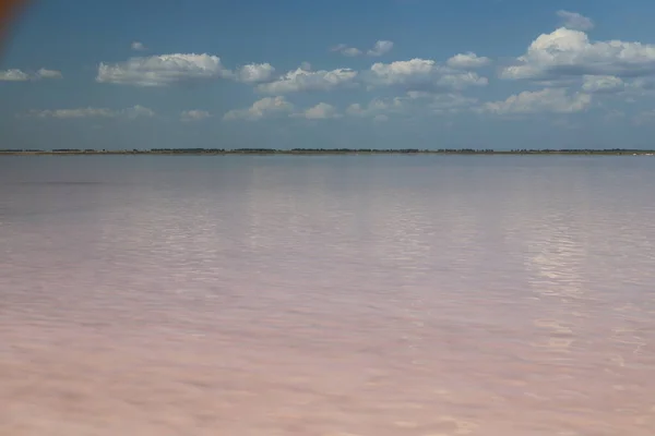 Altai Krai Bursol Lake Incredibile Vista Sul Lago Salato Rosa — Foto Stock