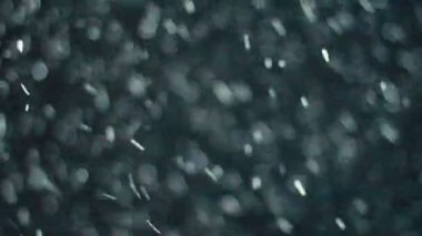 kar fırtınası. siyah arka plan üzerine düşen izole kar