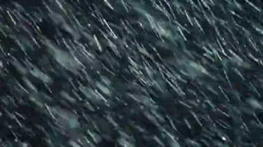 kar fırtınası. siyah arka plan üzerine düşen izole kar