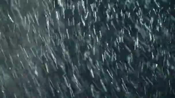 Una tormenta de nieve. Nieve aislada cayendo sobre fondo negro — Vídeo de stock