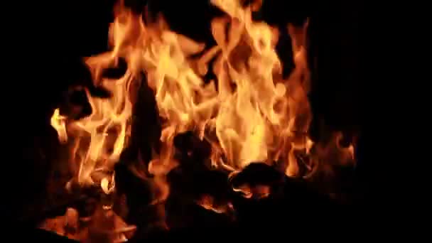 黒に分離された燃える火 — ストック動画