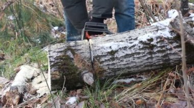 Adam ahşap testere testere ile kesme